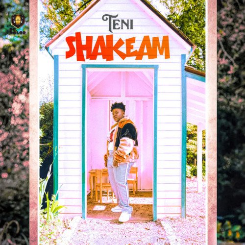 Shakeam