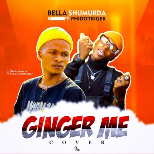 Ginger Me Cover