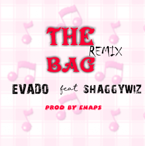 THE BAG _PROD BY ENAPS